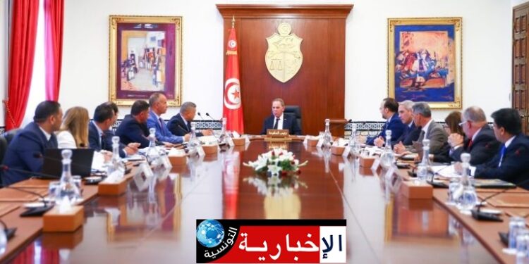 Le retour des Tunisiens à l’étranger au centre d’un Conseil ministériel
