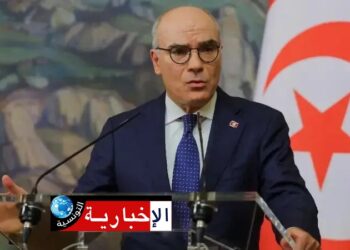 Nabil Ammar à la 8e session de la Commission mixte tuniso-burkinabé