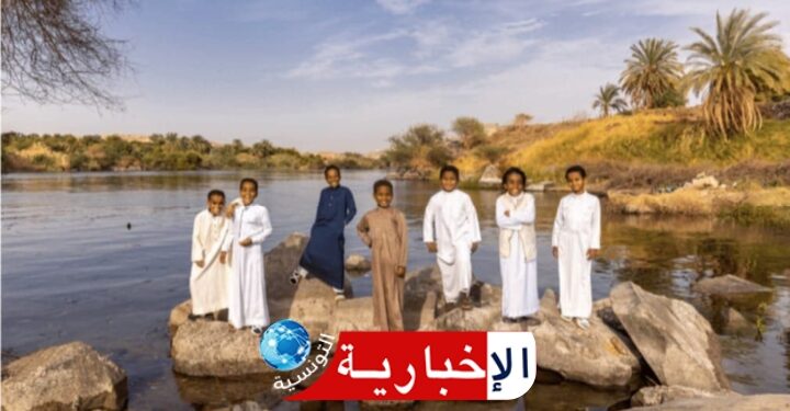 The « Nile Surfers » Exhibition Within the Framework of the Fourth Cairo Photo Week