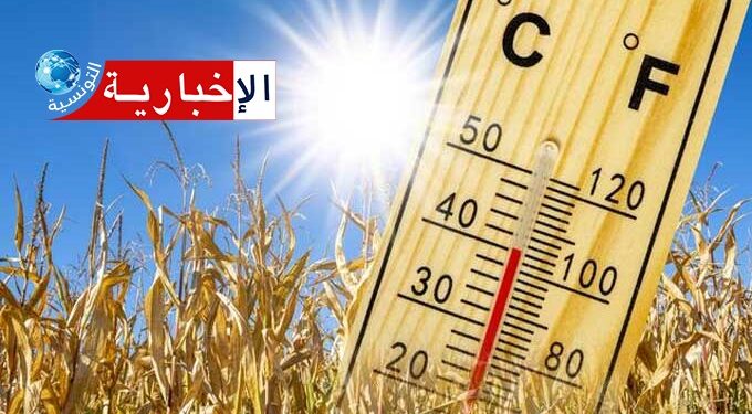 La météo du dimanche 13 juillet 2025