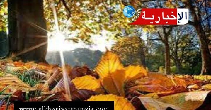 La météo du lundi 13 octobre 2025