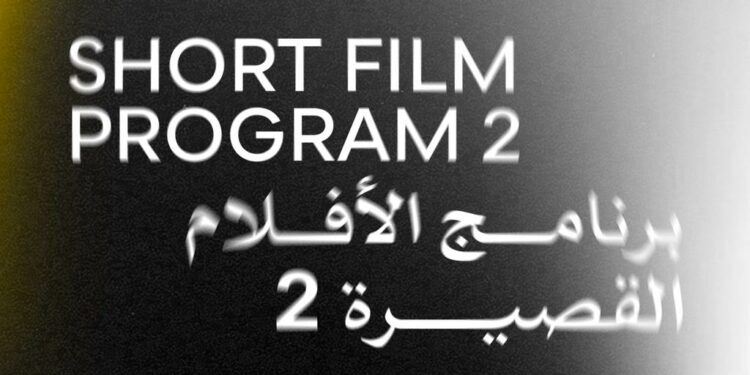 Today: Screening of Four Short Films at the 46th Cairo International Film Festival