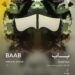 Today: World Premiere of « Bab » in the Middle East and North Africa at Cairo International Film Festival