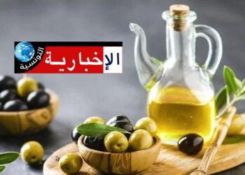 La Tunisie leader mondial de l’olive biologique